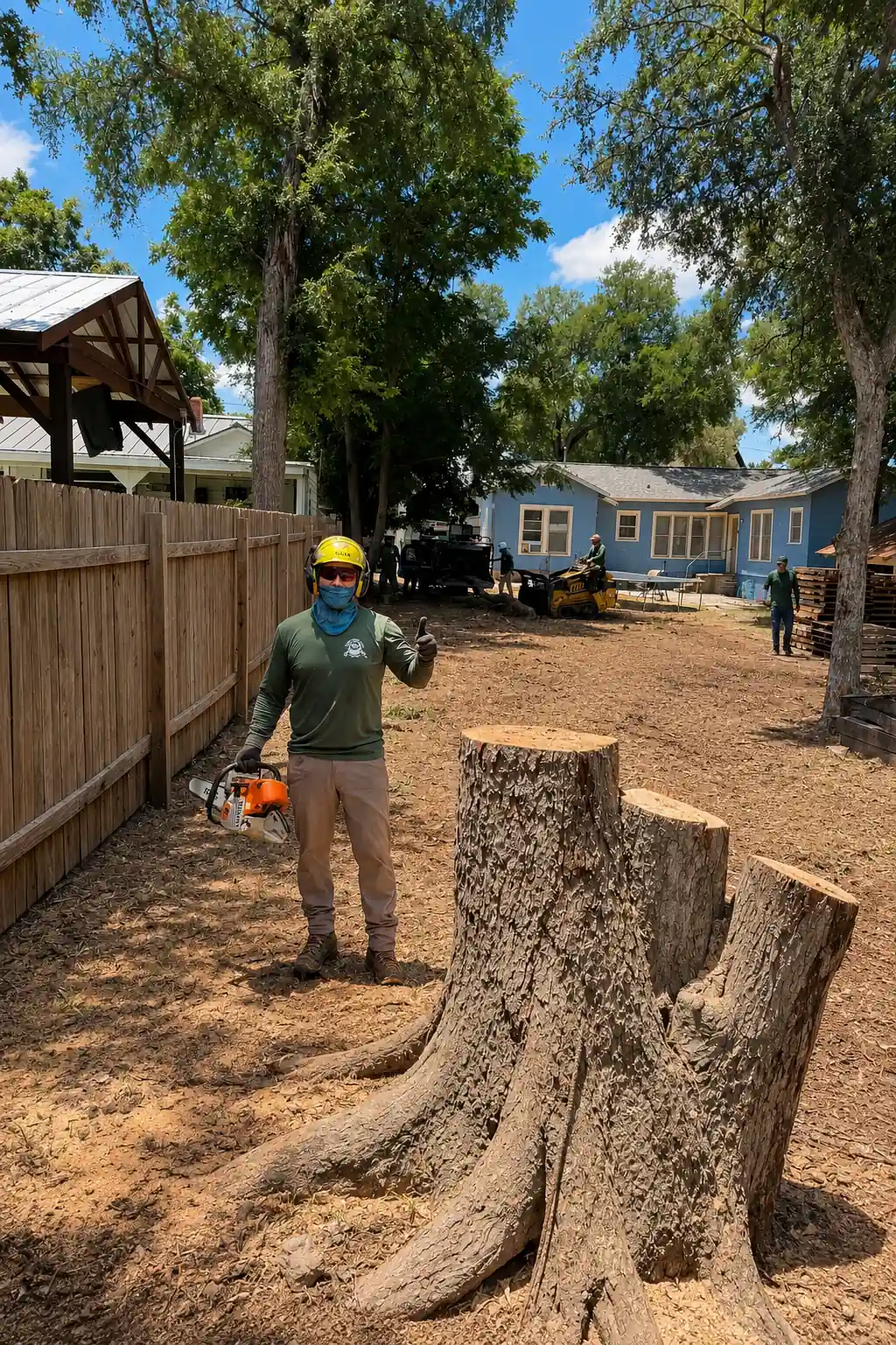 Tree Removal Arborist