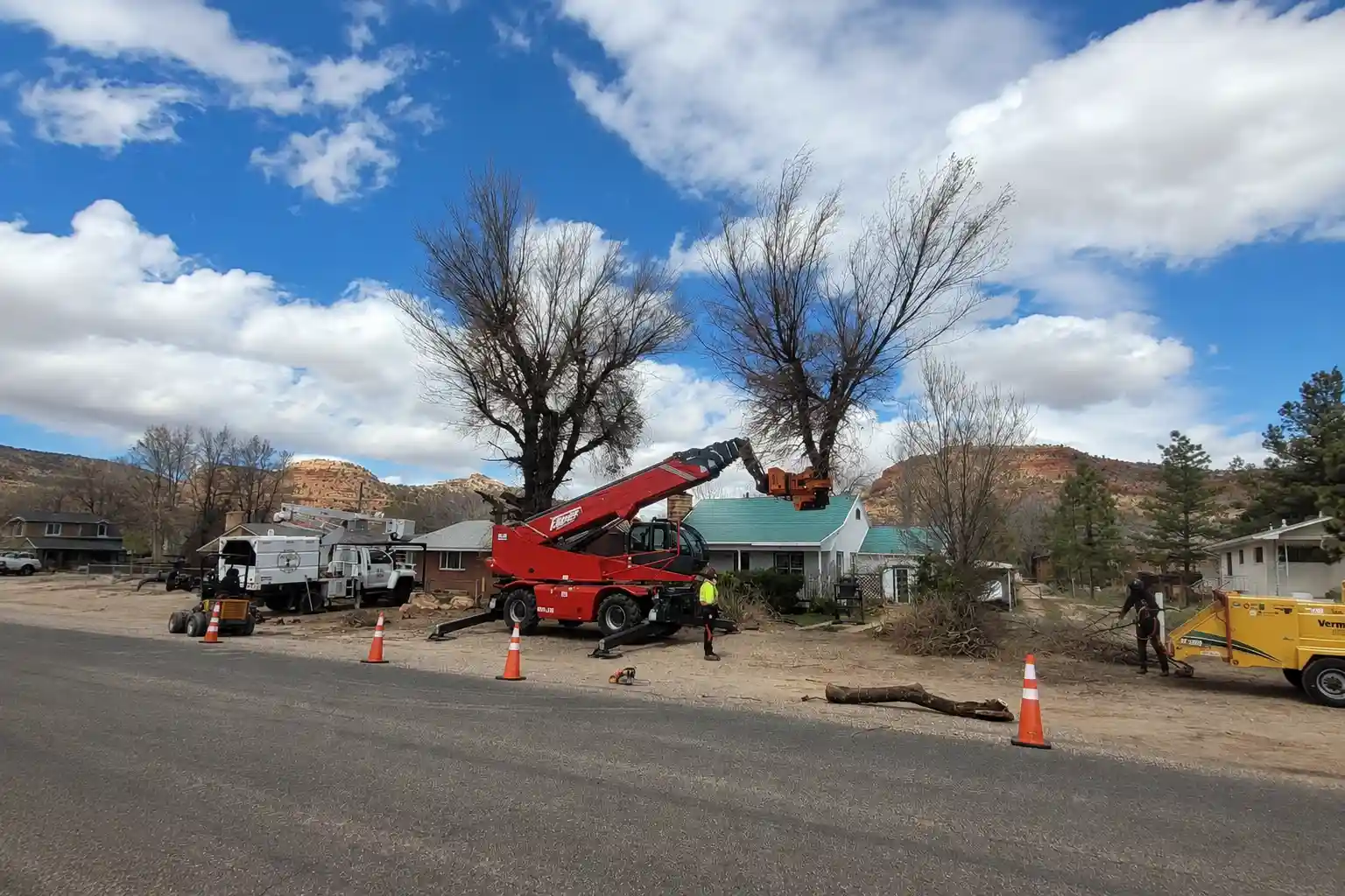 Emergency Tree Removal